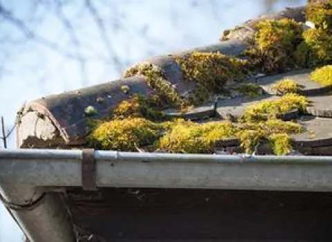 Service & Wartung – rundum sorglos