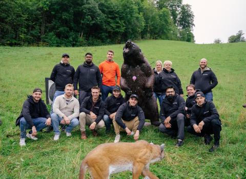 Teamevent auf dem Langert mit Bär und Fuchs im Bild