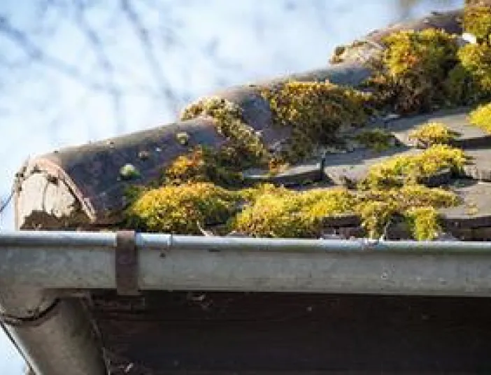 Service & Wartung – rundum sorglos Flaschnerei Vitus König